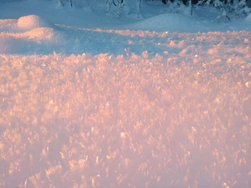 Tromsø Street to Wilderness: Guided Snowshoe Hike - The Sum Up: A Practical, Scenic Arctic Adventure