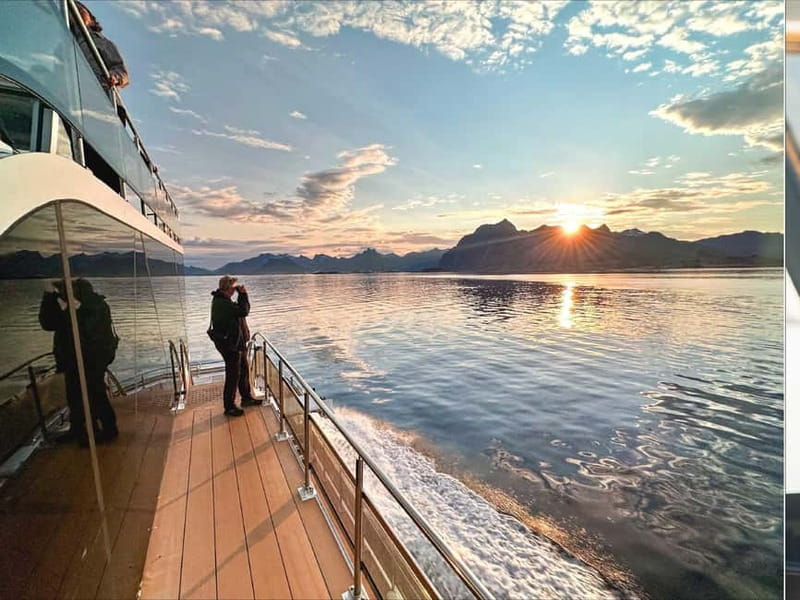 Tromsø: Summer Arctic Light Cruise with a Guide - Key Points