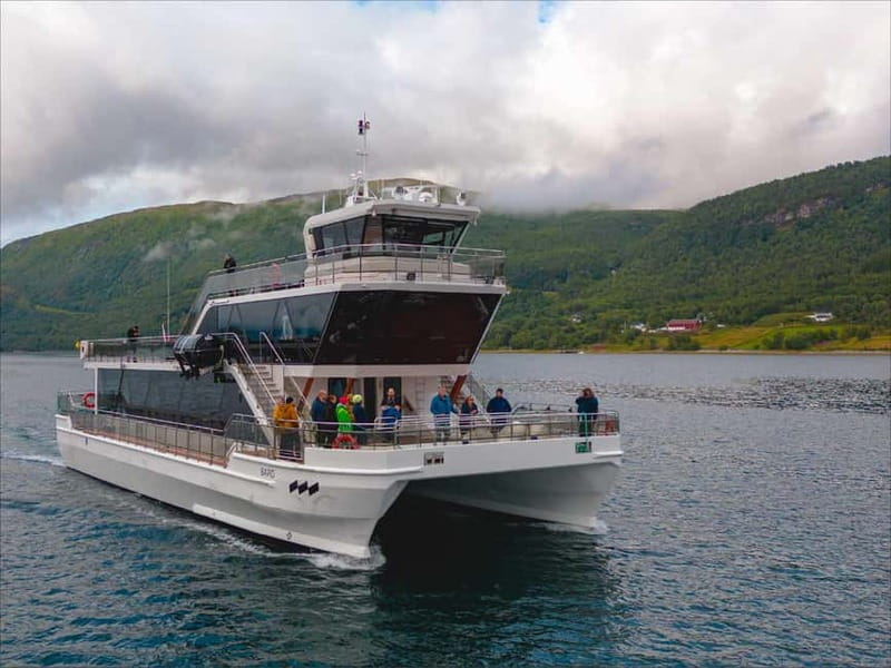 Tromsø: Summer Arctic Light Cruise with a Guide - Wildlife and Birdwatching Opportunities