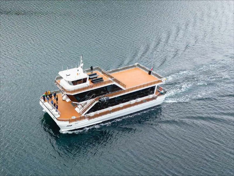 Tromsø: Summer Arctic Light Cruise with a Guide - Weather and Wildlife Conditions