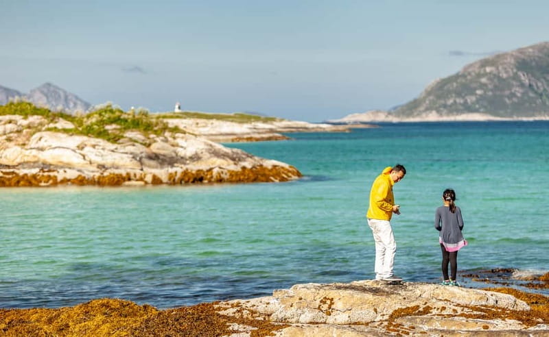 Tromsø: Summer Fjord Road Trip with Citizen Science - Citizen Science Participation in the Arctic