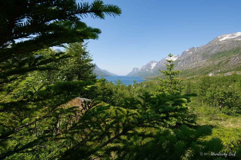 Tromsø: Summer Fjord Road Trip with Citizen Science - Logistics and Meeting Details