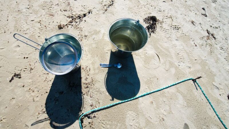 Tromsø: Summer Fjord Road Trip with Citizen Science - Weather Preparedness and Practical Tips