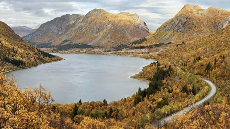 Tromsø to Senja: Arctic Highlights with EN/CN Guide - Comparing with Similar Arctic Tours