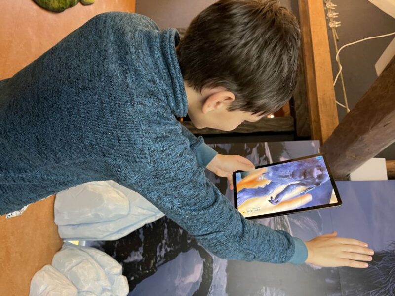 Tromsø: Troll Museum Entry Ticket with AR Media Experience - What Visitors Say About the Troll Museum