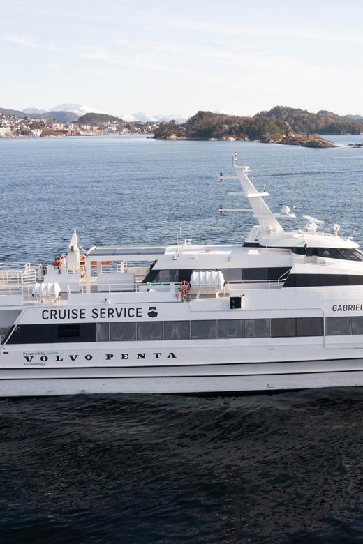 Tromsø Whale Safari with MS Gabriele - The Role of Guides and Storytelling