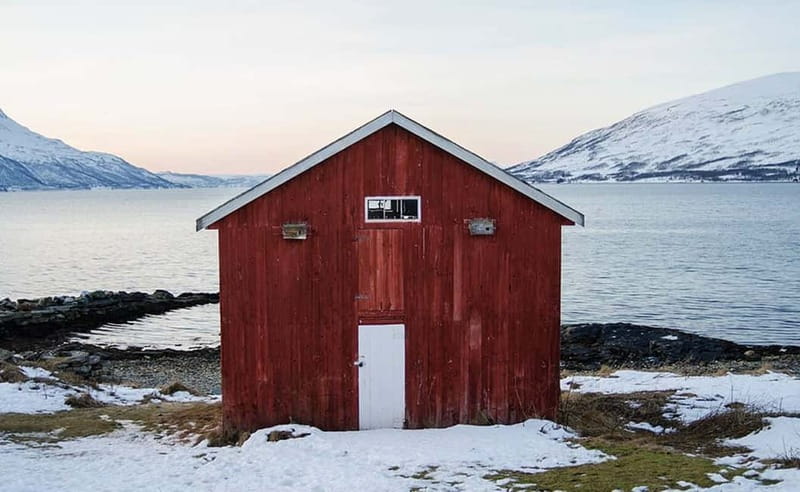 Tromsø: Winter Fjord Road Trip - Arctic Picnic: Homemade Vegetarian and Vegan Food