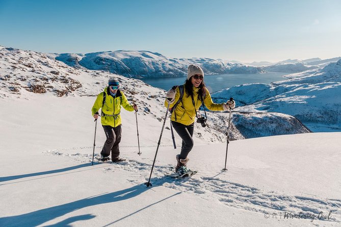Tromsø: Winter Snowshoeing with Wandering Owl - From Tromsø City Center to Arctic Countryside