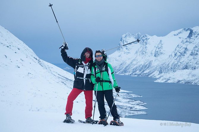 Tromsø: Winter Snowshoeing with Wandering Owl - Guides Who Make the Difference