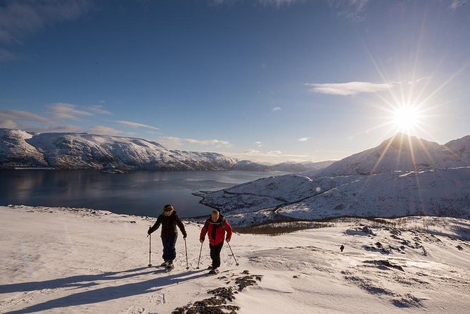 Tromsø: Winter Snowshoeing with Wandering Owl - Practical Details for Participants