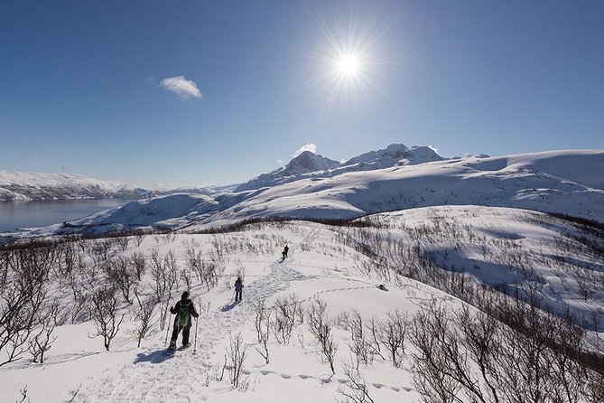Tromsø: Winter Snowshoeing with Wandering Owl - Small Group Experience Enhances Personal Service