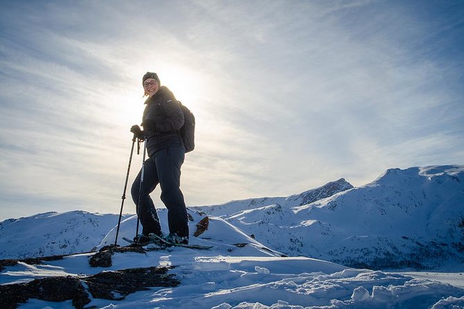 Tromsø: Winter Snowshoeing with Wandering Owl - Customer Experience and Review Highlights