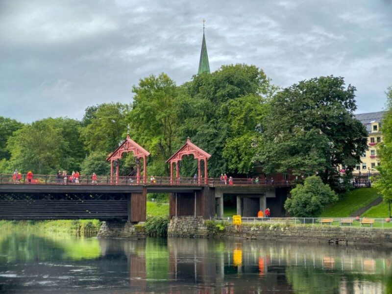 Trondheim: City Highlights Bus and Walking Tour - The Charming Bakklandet and Market Square