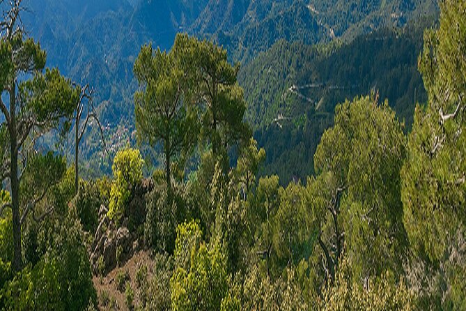 Troodos Peaks & Mountain Flavors Day Tour from Paphos - The Experience You Can Expect with This Tour