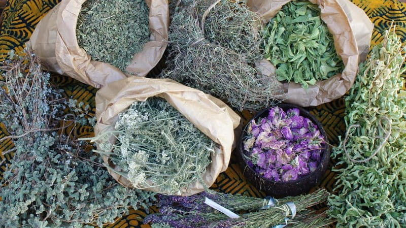 Troodos Villages and Kykkos Monastery from Paphos in Polish - Highlights Include Visits to Arsos and Its Traditional Cafeneio