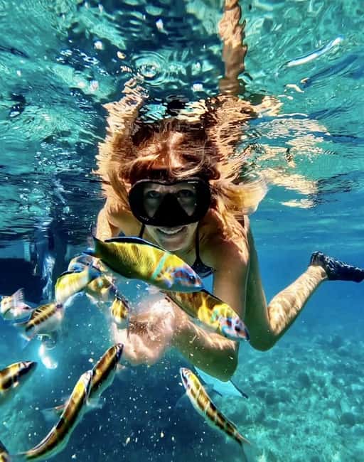 Tropea: Boat Tour on the Costa degli Dei - maximum 12 people on board - Comfort and Conveniences on the Fully Equipped Boat