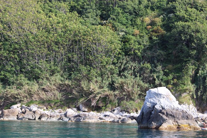 Tropea - Briatico - Zambrone - The Guide and Experience Quality