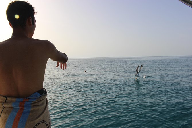 Tropea - Briatico - Zambrone - Logistics and Planning Tips