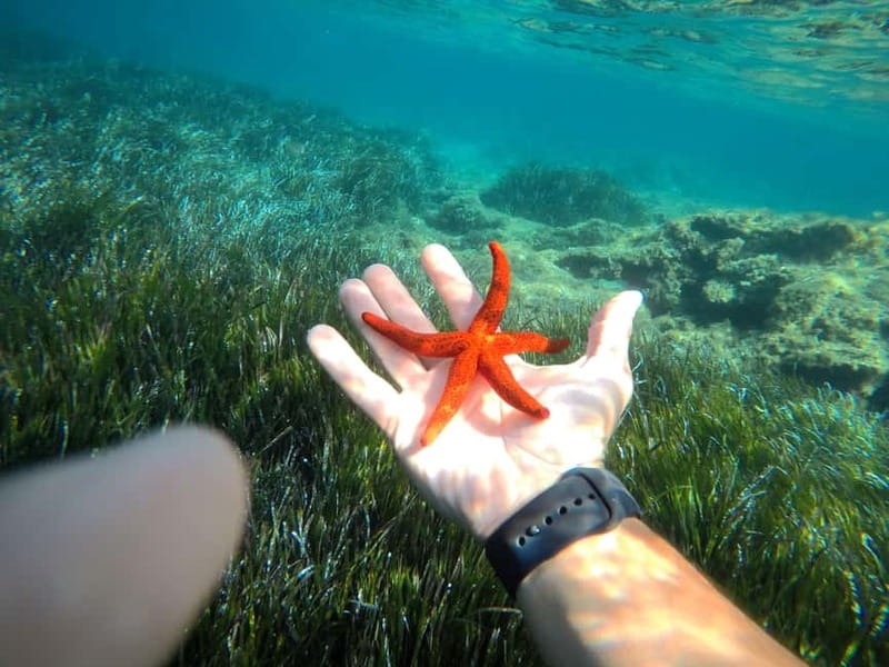 Tropea: escursione Max 8 People esclusive Costa degli Dei - From Tropea to the Coast of the Gods: The Itinerary
