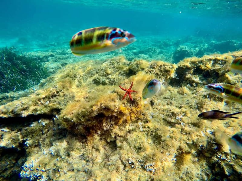 Tropea: escursione Max 8 People esclusive Costa degli Dei - Physical Requirements and Accessibility