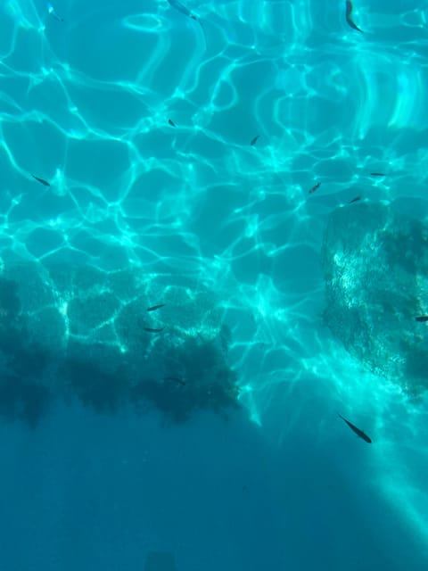 Tropea: escursione Max 8 People esclusive Costa degli Dei - Value for Money in a Private-Feeling Experience