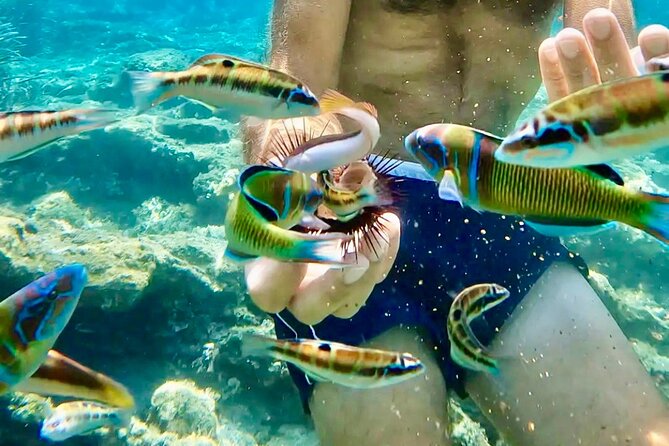 Tropea, Exclusive tour 15-meter Sailing Boat - 4h with Aperitif - The Iconic Isola Bella and Palumbaro Cave