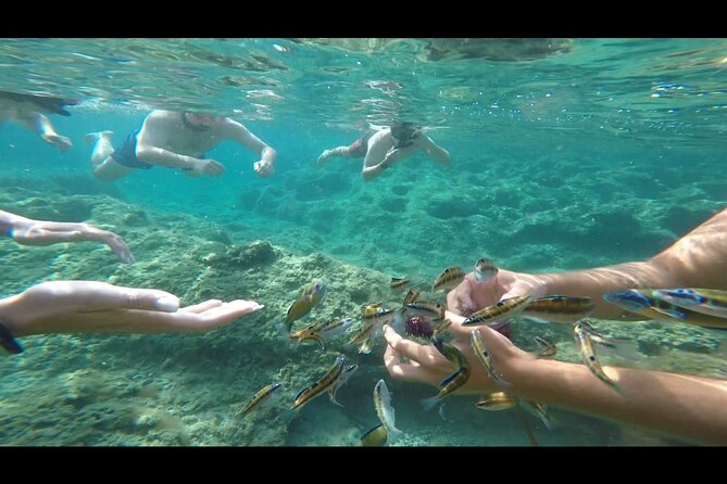 Tropea private boat tour - Capo Vaticano for a Final Swim