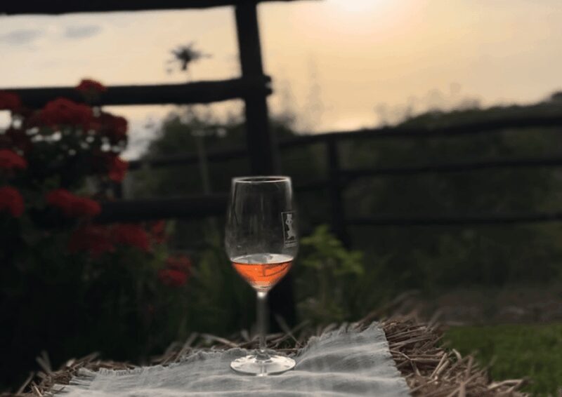 Tropea: Wine and Food Tasting - Sunset Views and the Romantic Atmosphere