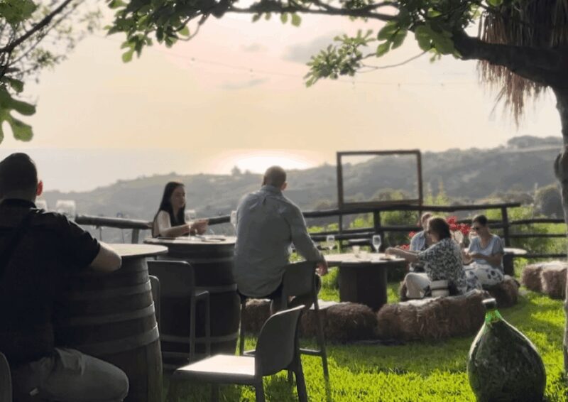 Tropea: Wine and Food Tasting - Flexibility and Cancellation Policies