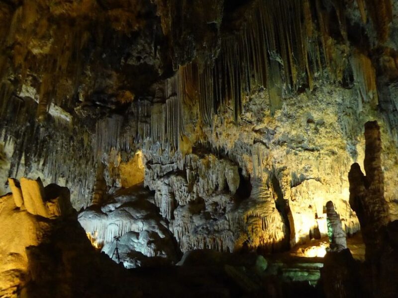 Tropical Coast and Caves of Nerja Day Tour from Granada - Return to Granada with Comfortable Transport