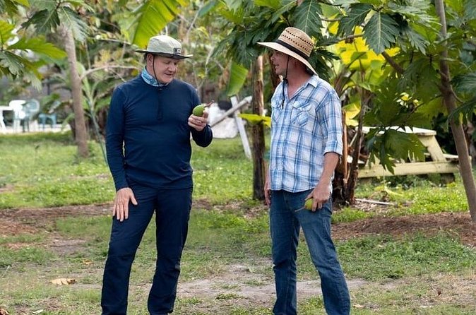 Tropical Fruit Hunting Tour at Grimal Grove - Opportunities for Fruit Picking (Seasonal)