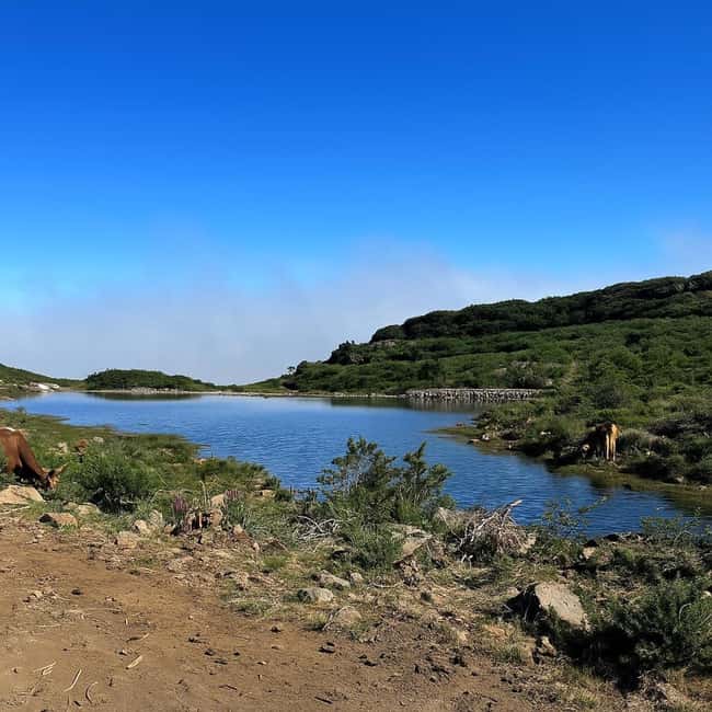 Tropical Tide, Porto Moniz & Fanal Forest 4WD Jeep Tour - The Thrill of an Off-Road Mystery Adventure