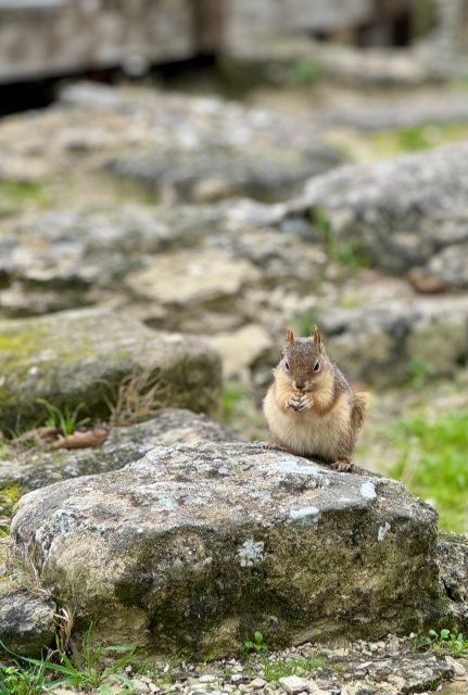 Troy: Full-Day Tour from Istanbul - Crossing the Dardanelles to Begin the Troy Exploration