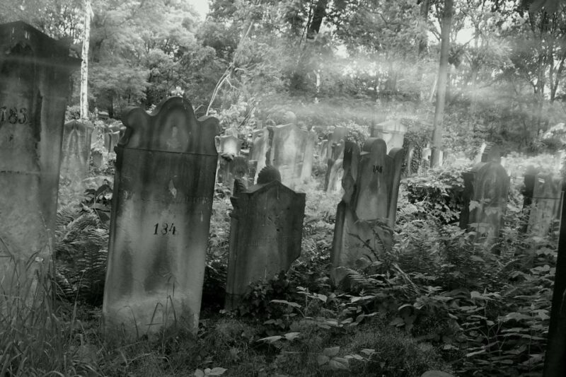 True Crime Philadelphia and History Tour - The Guide’s Expertise and Presentation Style