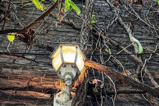 True Crime Walking Tour in Soulard Neighborhood - Explore the Historic Soulard Neighborhood with a True Crime Twist