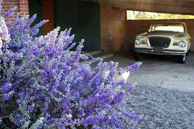 True Crime Walking Tour in Tucson's Historic Blenman-Elm - Walking Through the Blenman-Elm Historic District