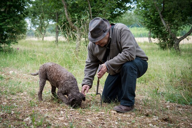 Truffle Cavage Demonstration - Explore Beaune’s Truffle World for $74.91
