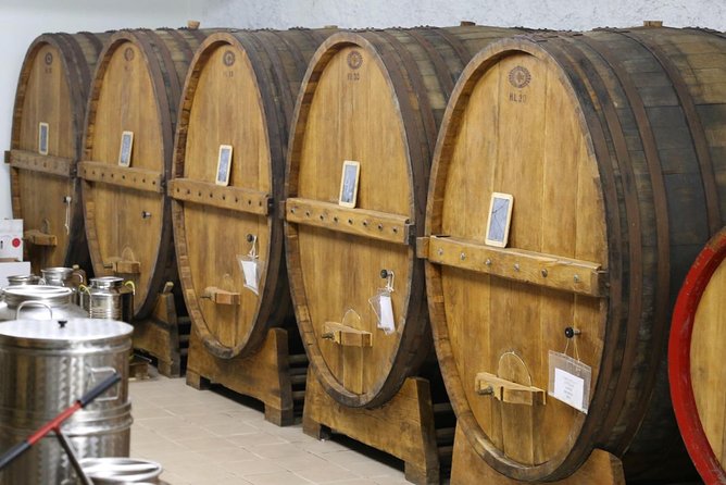 Truffle Hunt & Bio Lunch in Assisi - Final Thoughts on the Truffle Hunt & Bio Lunch in Assisi