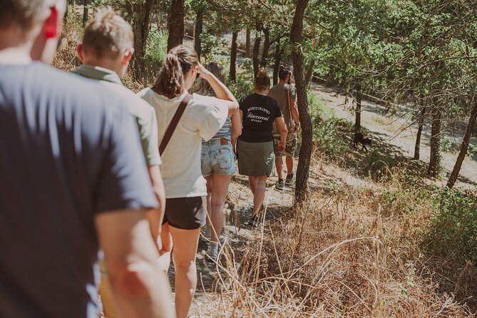 Truffle Hunt in Tuscany - The Truffle Search: How It Unfolds