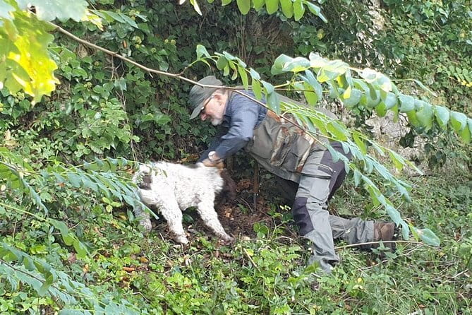 Truffle hunt, Lunch, Horse riding, a top half-day near Florence - Discover the Unique Half-Day Adventure Near Florence