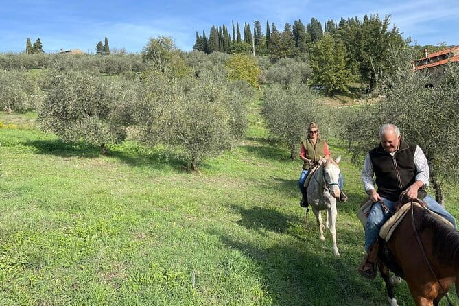Truffle hunt, Lunch, Horse riding, a top half-day near Florence - Key Points
