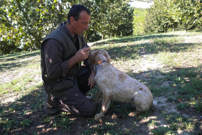Truffle Hunt & Wine Tasting - Behind the Scenes of Truffle Hunting with a Local Expert