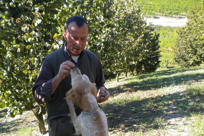 Truffle Hunt & Wine Tasting - Practical Details: Weather, Clothing, and What to Bring