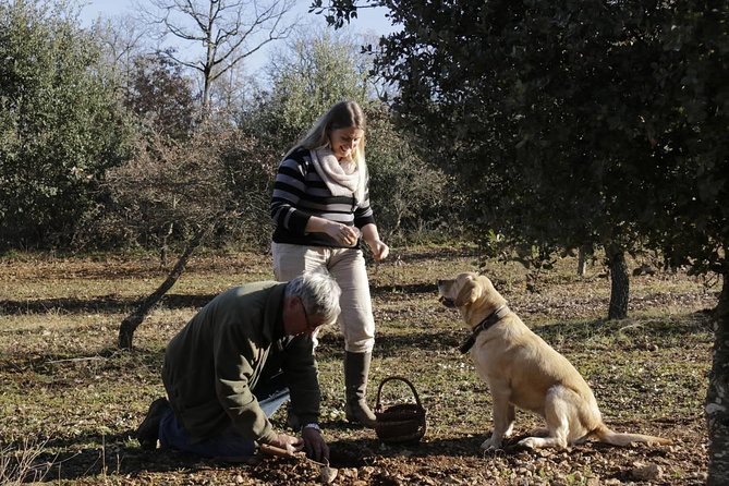 Truffle Hunt & Wine Tasting - The Overall Atmosphere and Customer Satisfaction