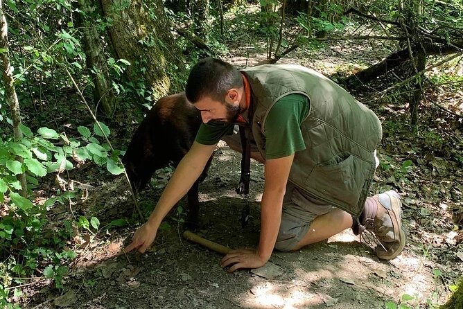 Truffle hunting adventure - Explore the Authentic Truffle Hunt in Rovinj’s Istrian Hills