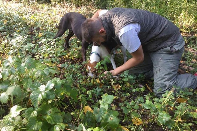 Truffle hunting adventure - Key Points