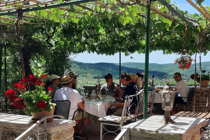 Truffle hunting adventure - Discovering the Motovun Forest and Its Hidden Treasures