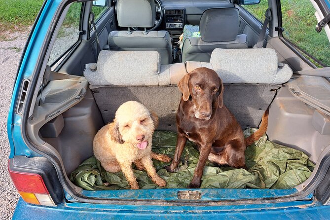 Truffle hunting adventure - What Makes This Truffle Hunting Tour Stand Out