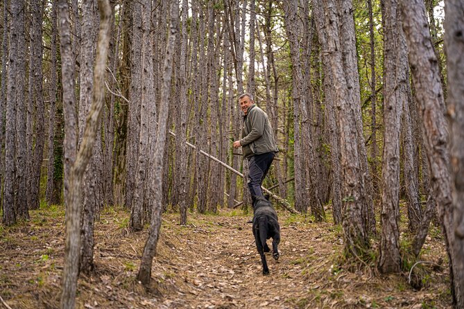 Truffle Hunting and 3-course Truffle Brunch in Motovun - Key Points