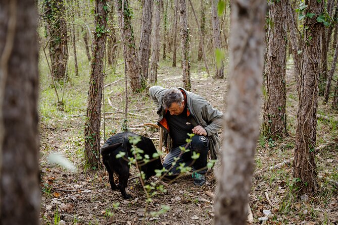Truffle Hunting and 3-course Truffle Brunch in Motovun - Discovering the Istrian Truffle Hunting Tradition in Motovun